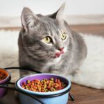 Les croquettes pour chat, « ppimanje mimi » : des avantages sur toute la ligne