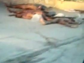 5 cadavres découverts à Juvenat dans la commune de Pétion-Ville