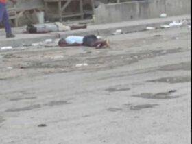 Deux individus abattus à Carrefour-Fleuriot