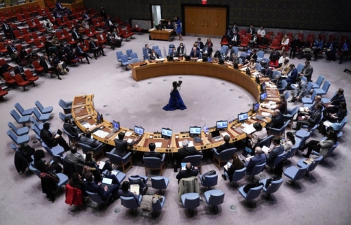 Réunion du Conseil de Sécurité de l’ONU sur Haïti : La montagne a accouché d’une souris